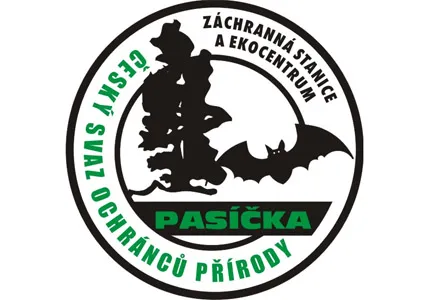 Dětský den na Pasíčkách