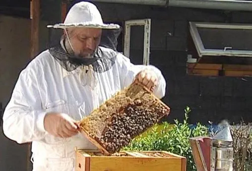 Včelařské učiliště chystá novinku