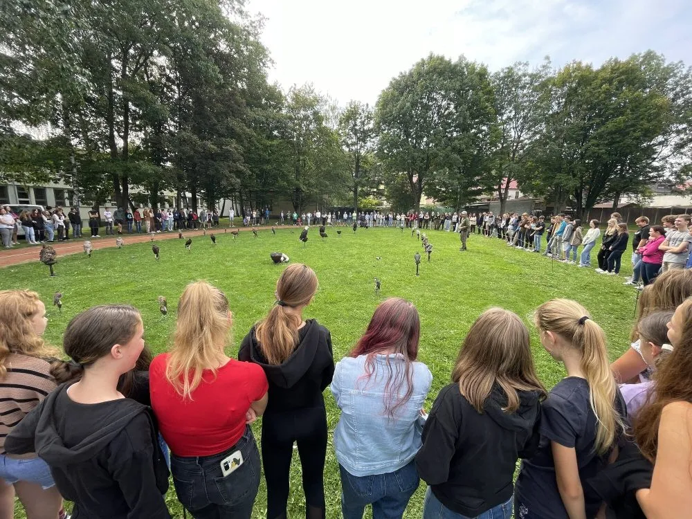 Dravci a&nbsp;sovy v&nbsp;areálu svitavského gymnázia
