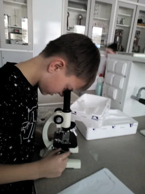 Činnost kroužku globální výchovy na svitavském gymnáziu