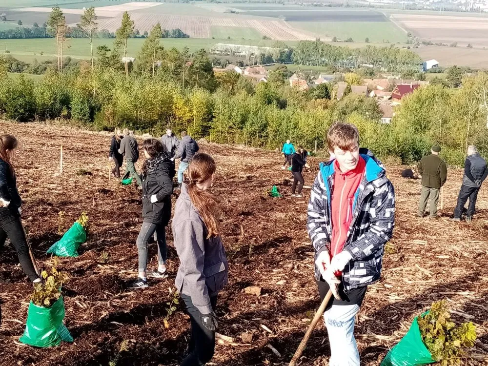 Podpoř správného broučka aneb pomoc na druhou