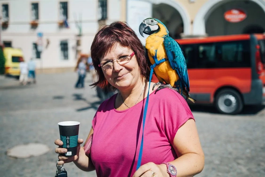 Akční čtvrtek ústecké umprumky